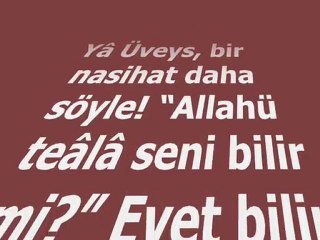 VEYSEL KARANİ DEN DÖKÜLENLER