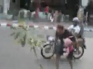 0213 - Mec bourré  avec sa plante