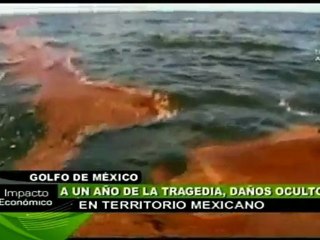 A un año del derrame en el Golfo de México