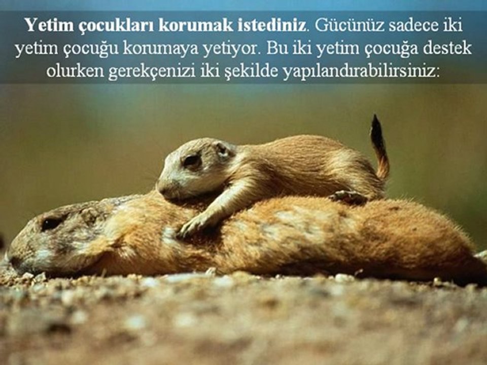 Ameller niyetlere göredir