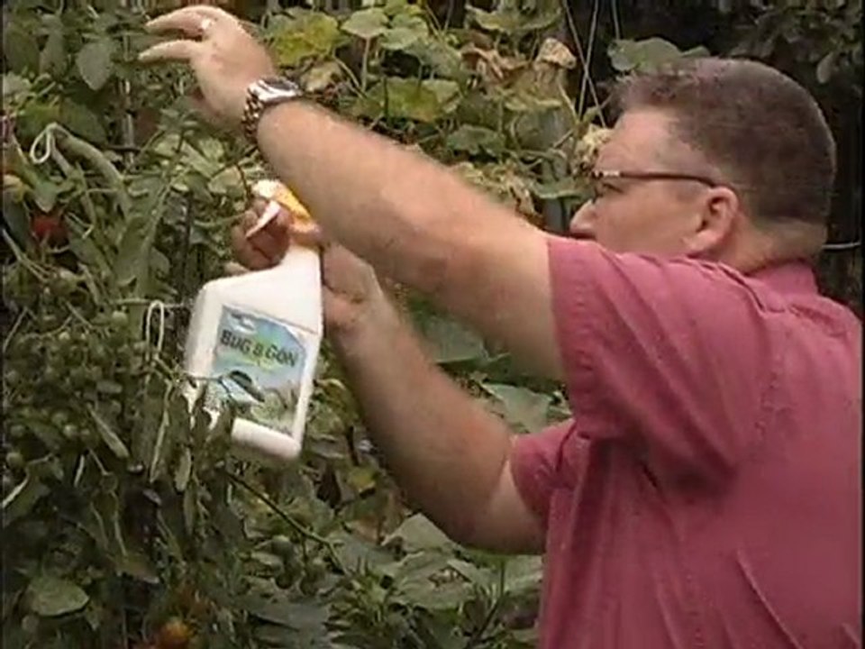 Keeping pests off your plants