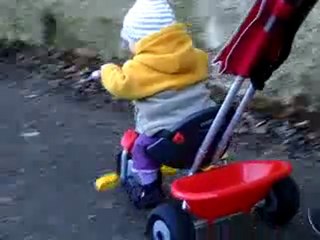 Born to be wild !