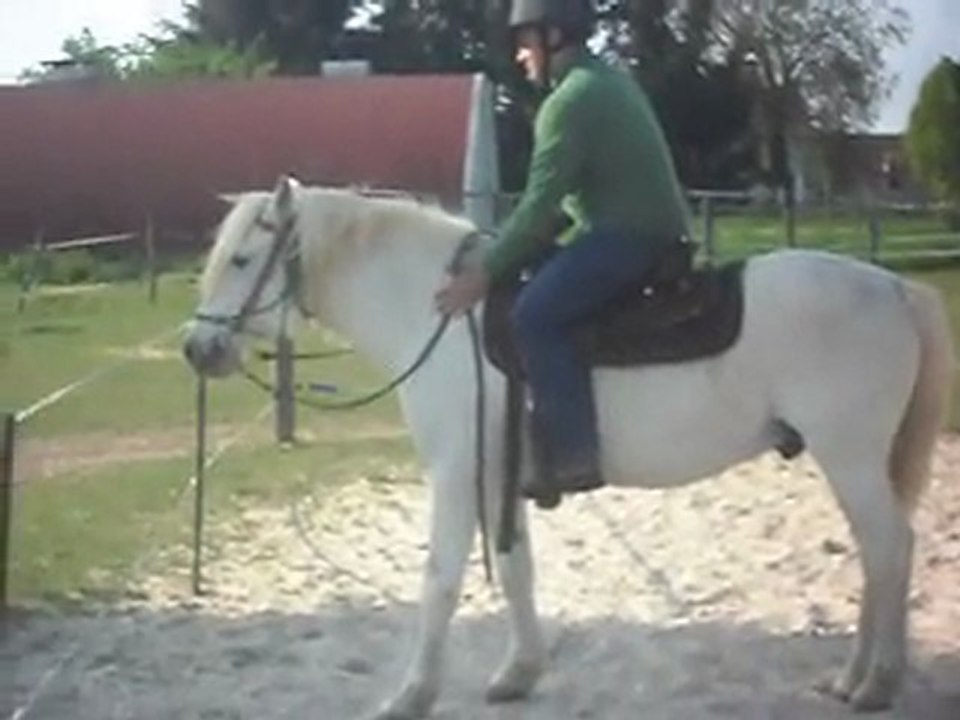 EQUITATION INITIATION WESTERN 17 04 2011. SDC10604