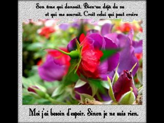 Mon Amie la Rose : Vidéo by José