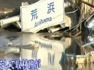 JAPON- Perro Resguarda a Comañero Herido tras Terremoto 2011