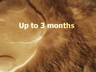 Same Day Payday Loans