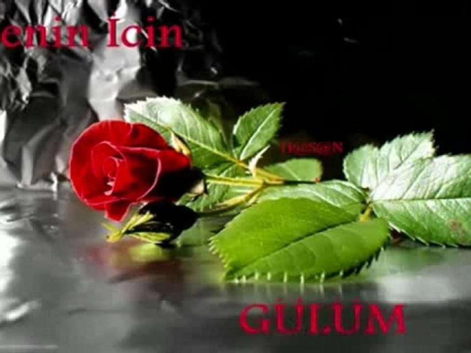 Adini Yollara Yazdim