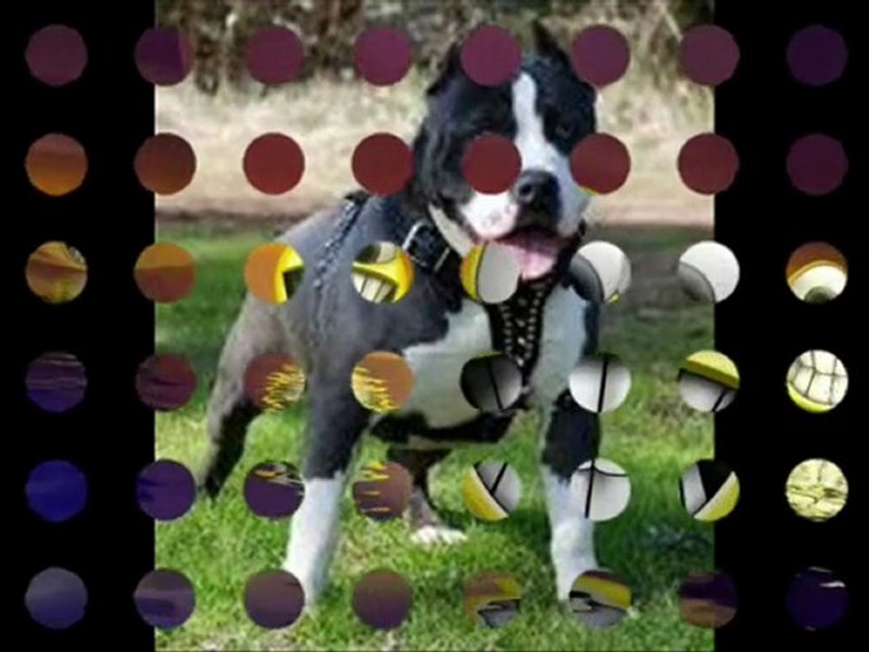 you gane hate us yud dj 2010 müzic club mix