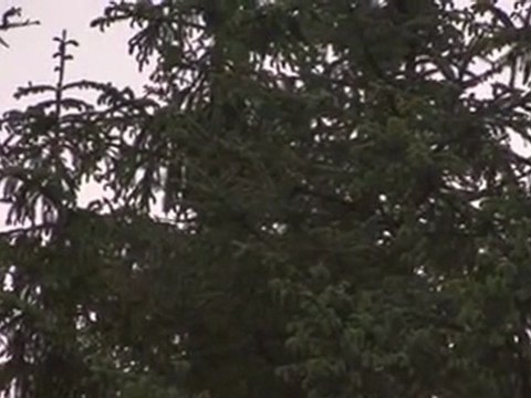 Çulluk avyaban.com - ergo