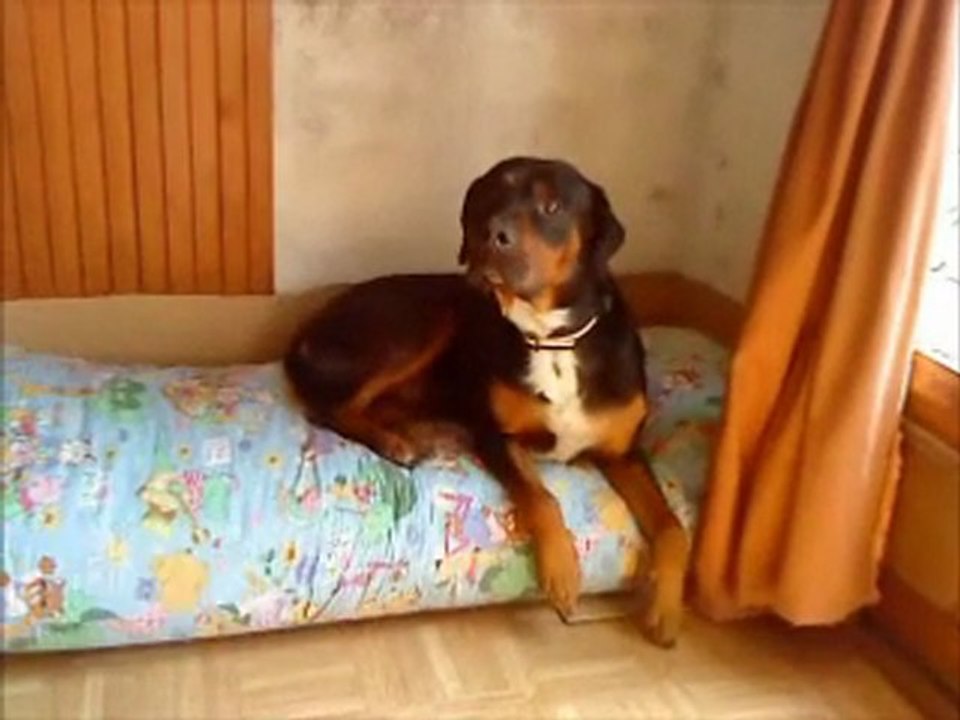 MATELAS MOELLEUX