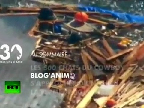 Sommaire emission 30 Millions d'Amis 24 04 11