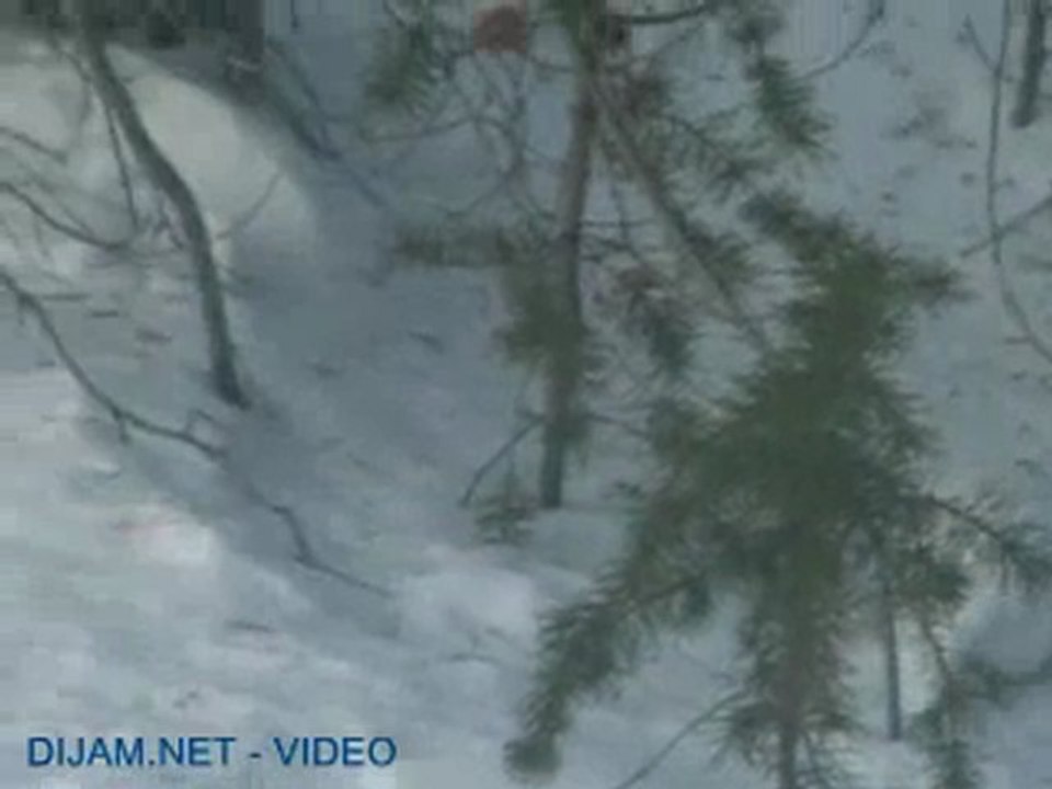 Beyaz Keklik 2 www.avyaban.com - ergo