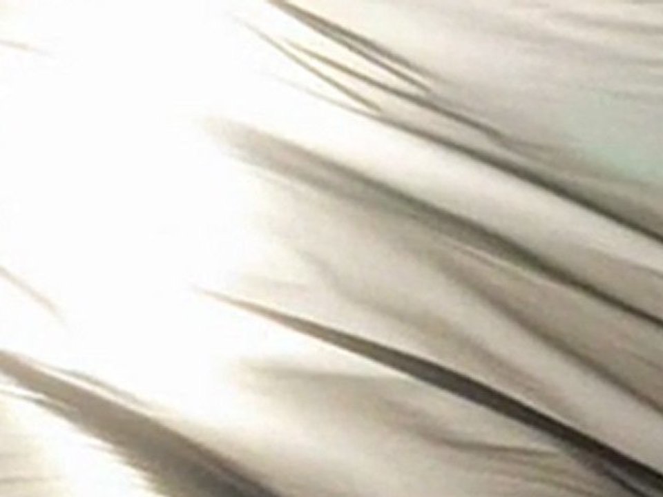 Conseils aux musulmans de France attachés à la Sunna authentique partie 1 [Shaykh Lazhar]