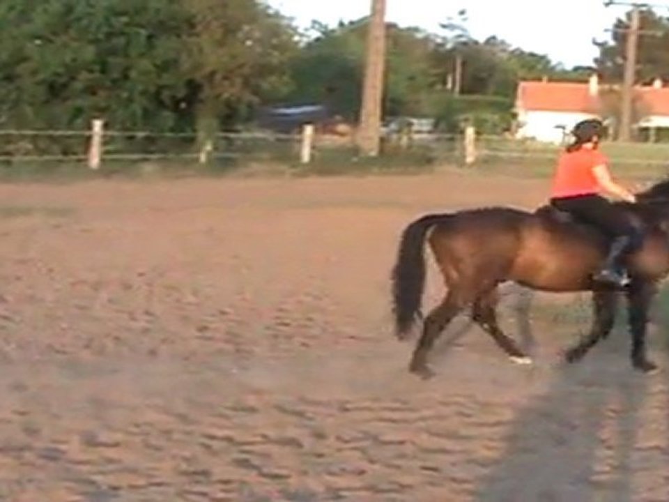 Entrainement dressage avril 2011