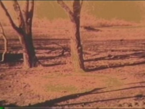 The Fourth Kind - Alien Abduction Stories: (3)