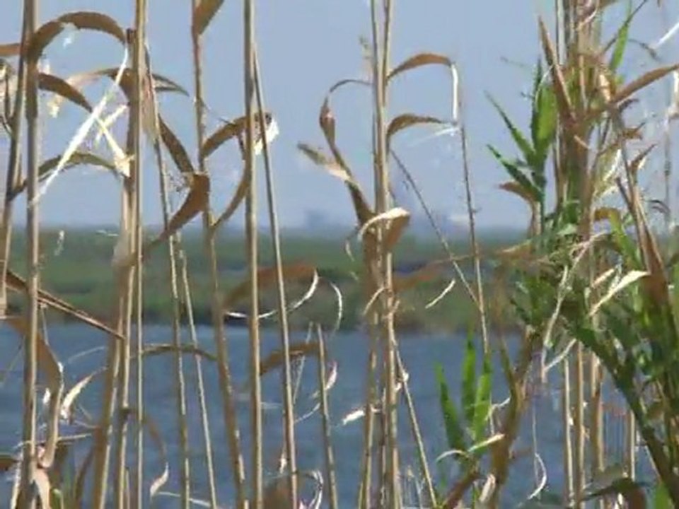 US-Golfküste hat noch immer mit BP-Ölpest zu kämpfen