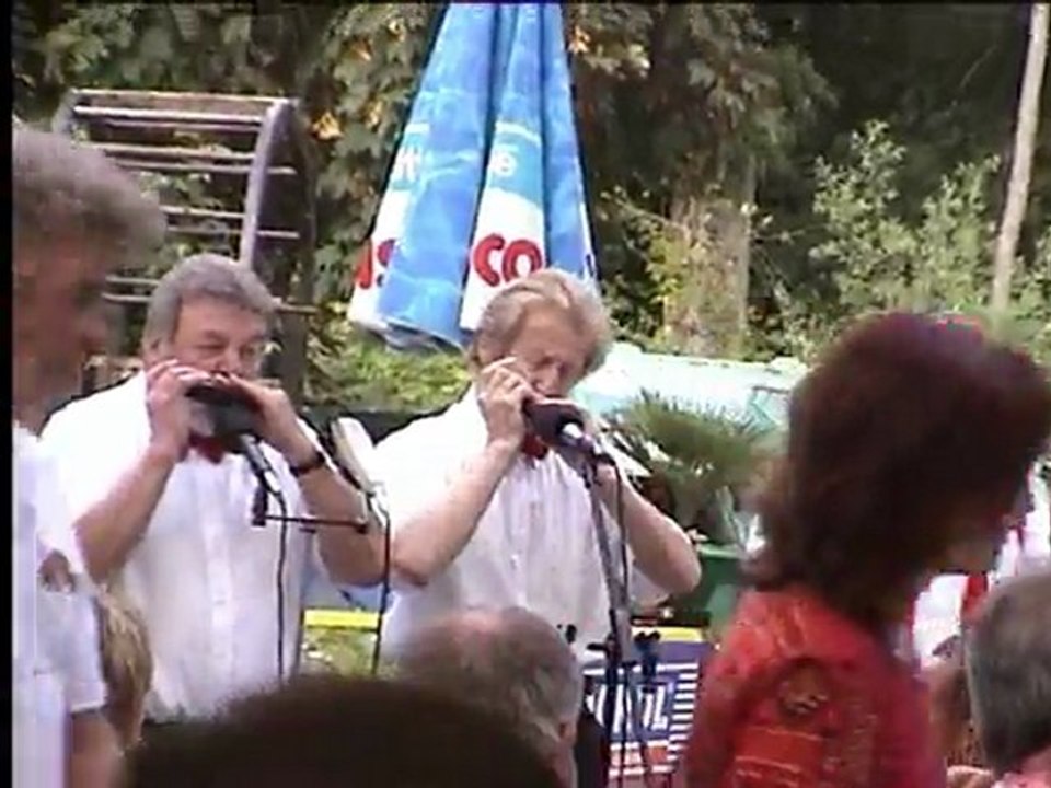 LES VAGABONDS # 4 live (bi üs daheim)