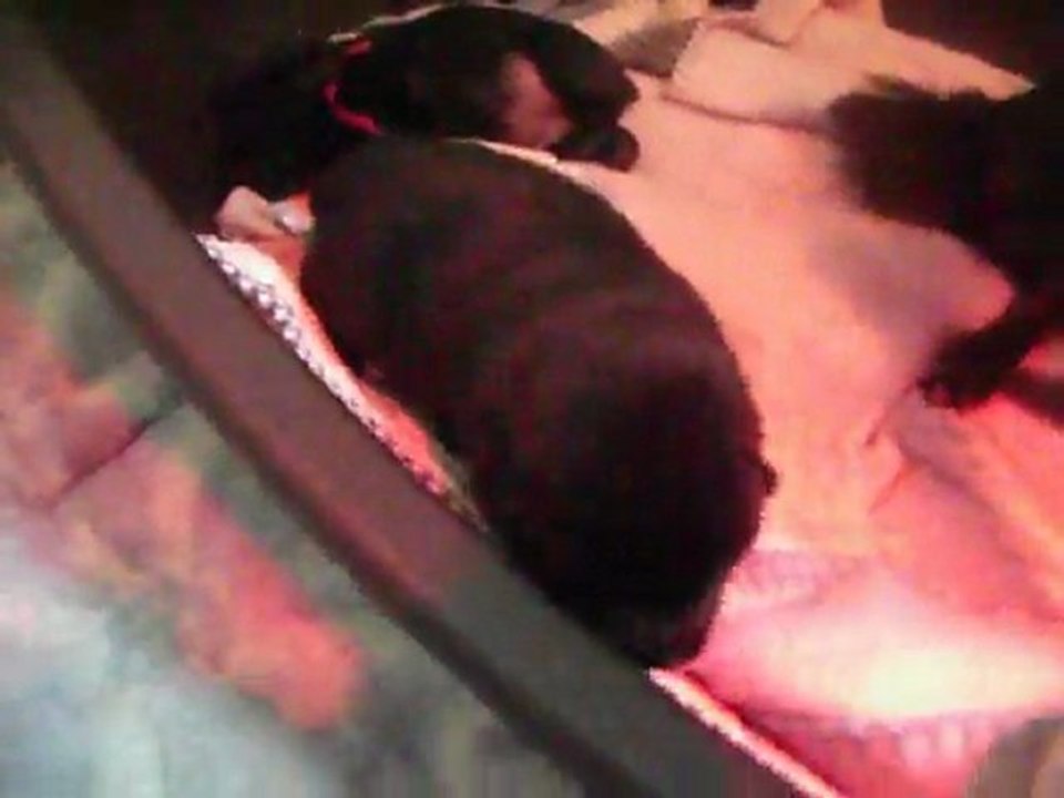 Les grumelles de Vitaa à 1 semaines et 3 jours