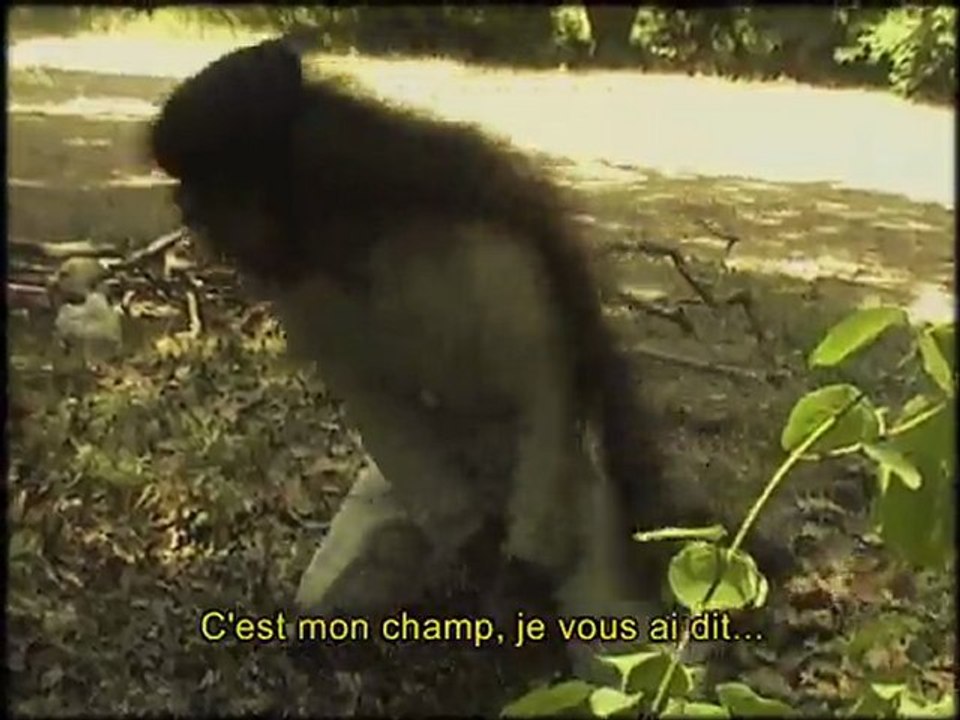 97 photos et une poule