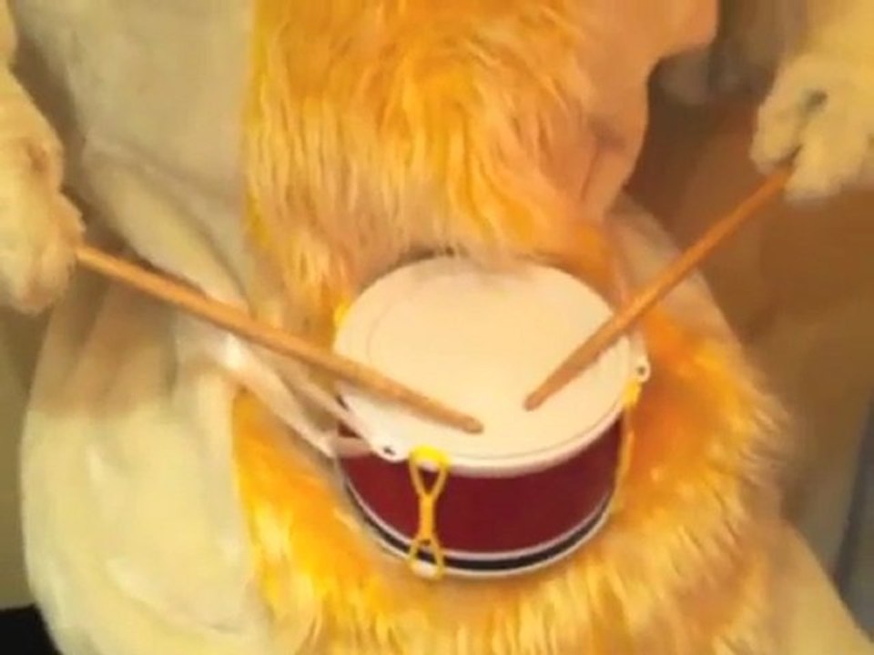 Cannes Young Lions Film - Entrant (5)