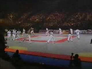 Capoeira - Bercy 2001