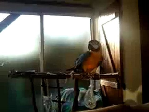 Luna qui vient quand je l'appel .