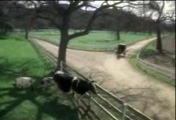 Verarsche von Gangster Paradies- Coolio