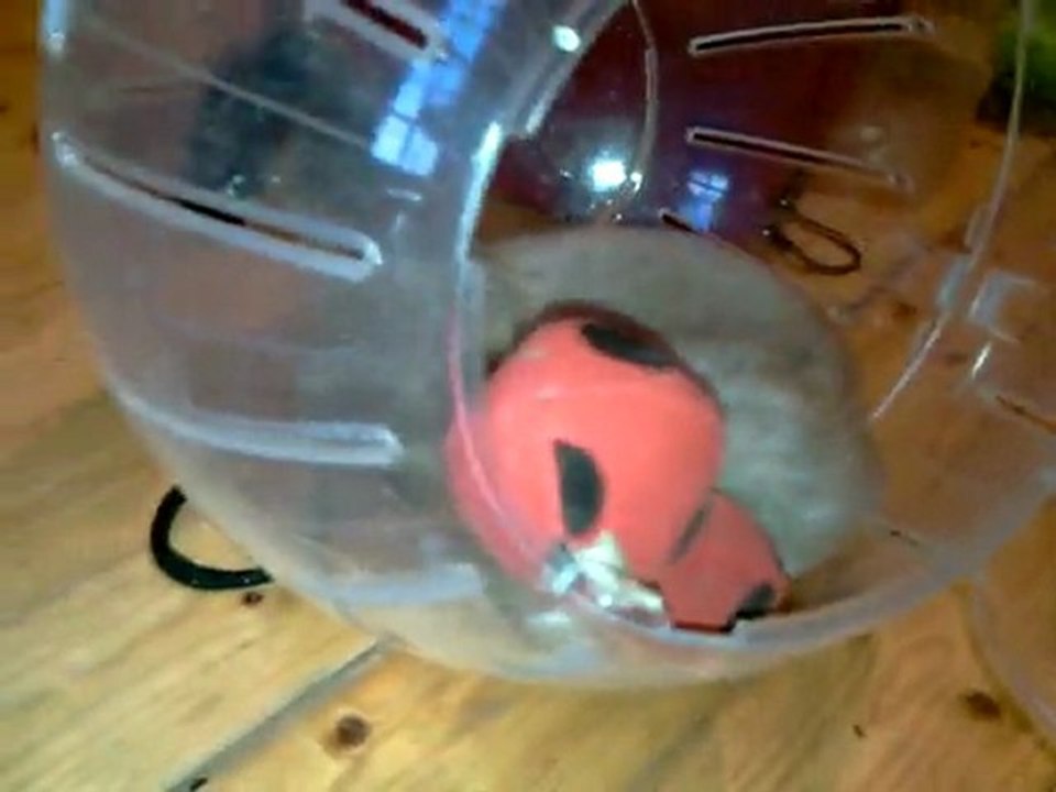 Sabaidee convalescence