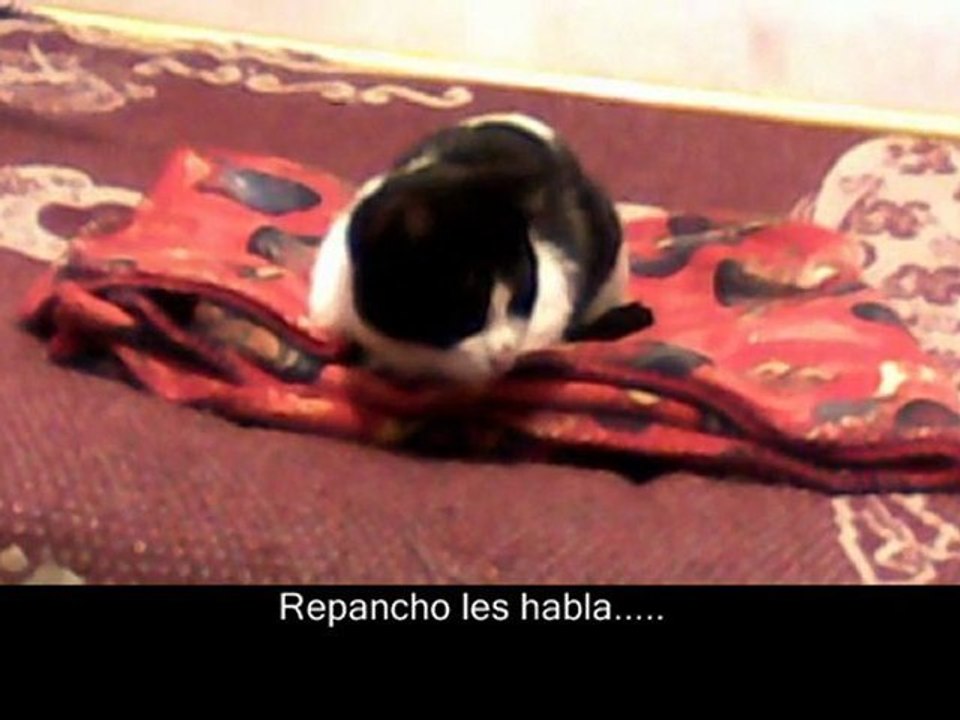Repancho les manda un saludo