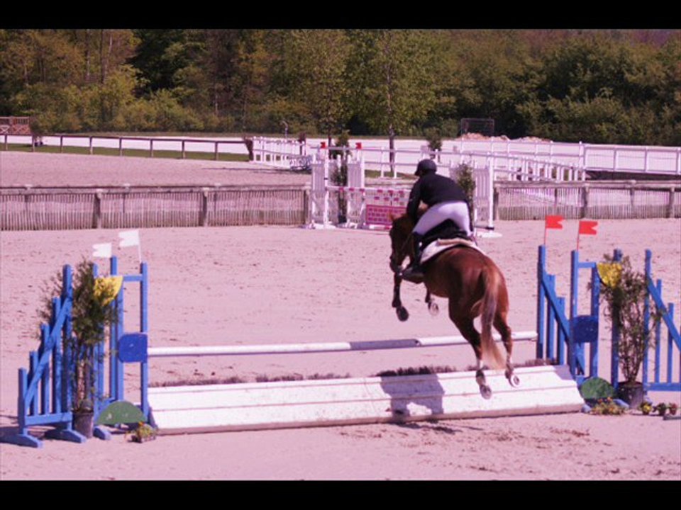 TYSON DE LA PLAGNE CSO SHF 4 ANS COMPIEGNE 19 AVRIL 2011