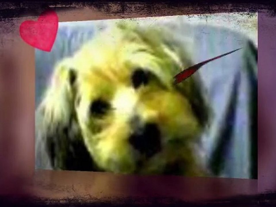 je vous aime ma famille