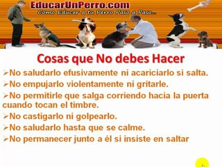 Tecnicas Para Entrenar Perros