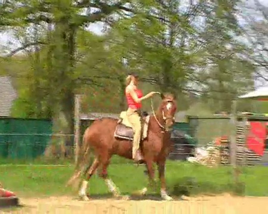 almirante riding with cordeo