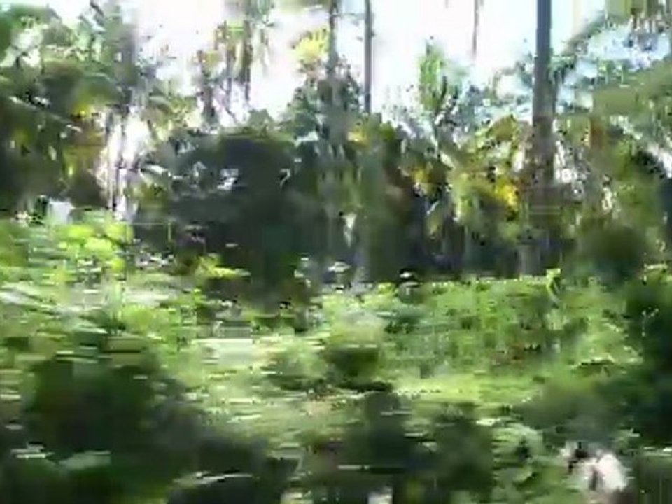 Zanzibar road - No traffic jam