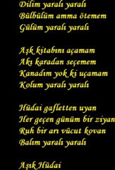 Oğuz Aksaç-Dilim Yaralı