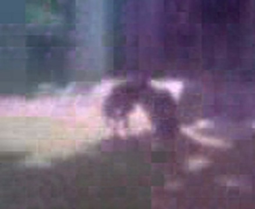 Copy of Video0032