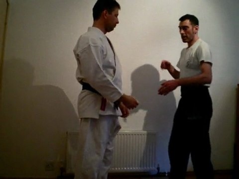 Kata Bunkai for Heian Nidan/Pinan Shodan (TKD: Won Hyo)