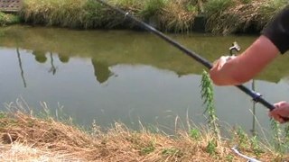 Carp fishing in Japan