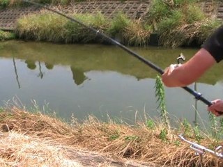 Carp fishing in Japan