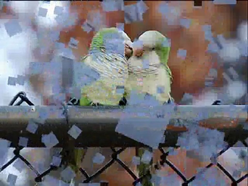 2011 Yepyeni Özlem Şarkısı Duygusal Slayt SemiH Koçer- Sensizken Olmuyor