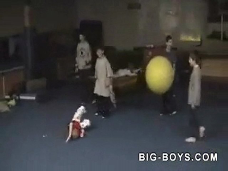6262