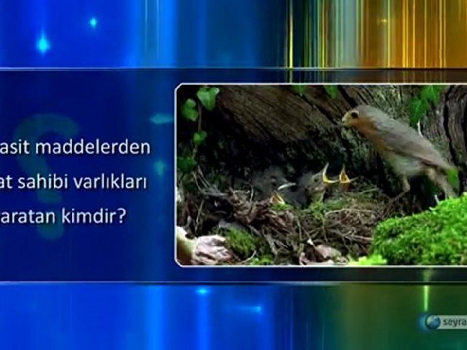 6-hayat-delili