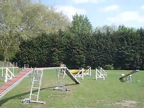 agility le 20 avril entrainement desyrée