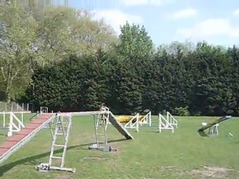 agility le 20 avril entrainement desyrée