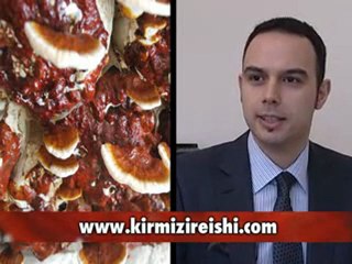 Kırmızı reishi mantarının anti oksidan özelliği- Uzman Diyetisyen Turgay Köse