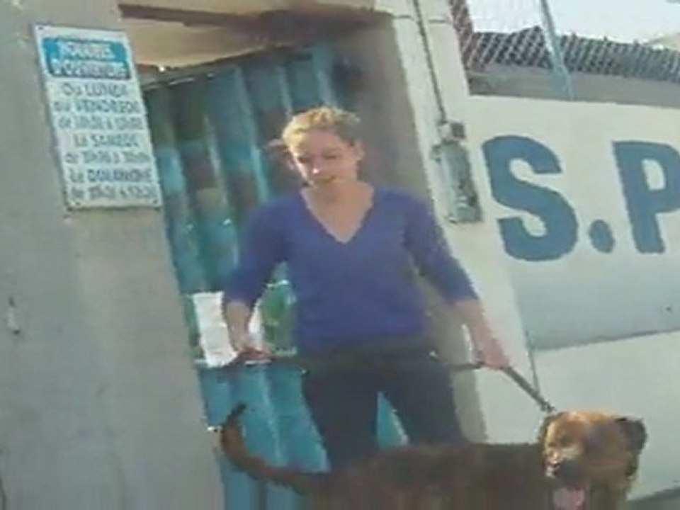 En route pour une nouvelle vie !