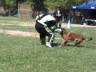 selectif ring 2011 la valette du var arko