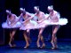 Les quatres cygnes, ballet ruse 2011
