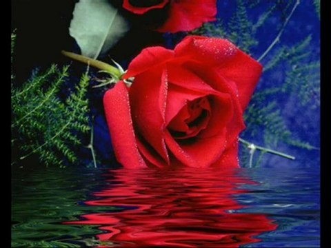 EROL BUDAN KENDİN BİLİRSİN (BABA ŞARKI)