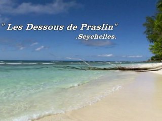 Les Dessous de Praslin Documentaire 2011